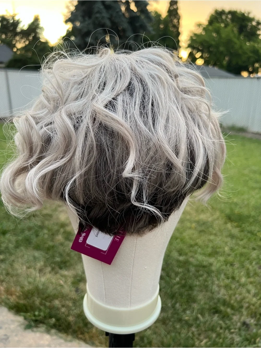 CSC Chickie Standard BNWT - Short Wavy Lace Front Wig in Ash Blonde with Roots